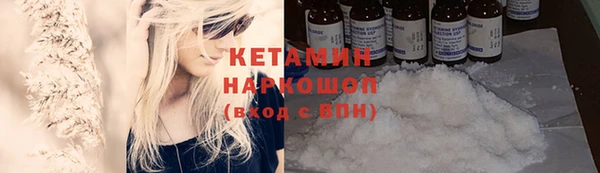 крисы Баксан