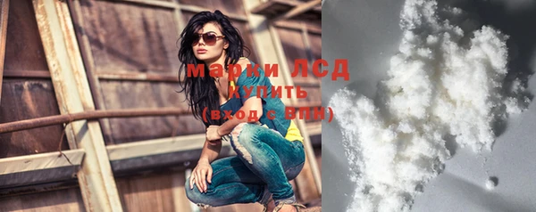 крисы Баксан