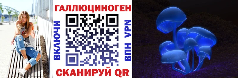 darknet Telegram  Ельня  Галлюциногенные грибы прущие грибы 