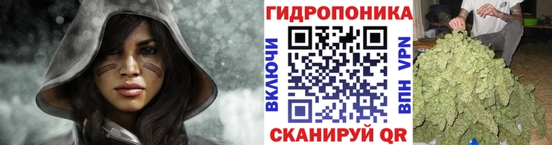 купить наркотик  Ельня  Конопля White Widow 